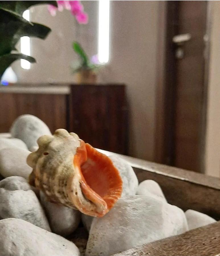 Il Vicolo B&B Giubileo Nettuno Dış mekan fotoğraf